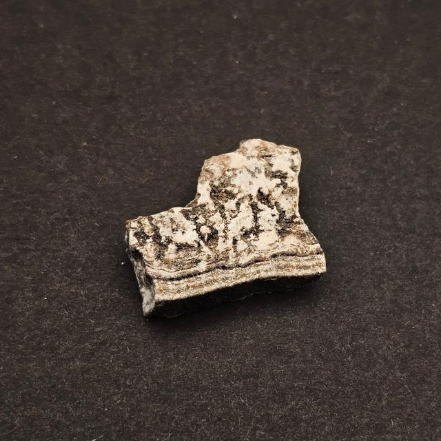 Dresser Formation Stromatolite Fragment — view 2