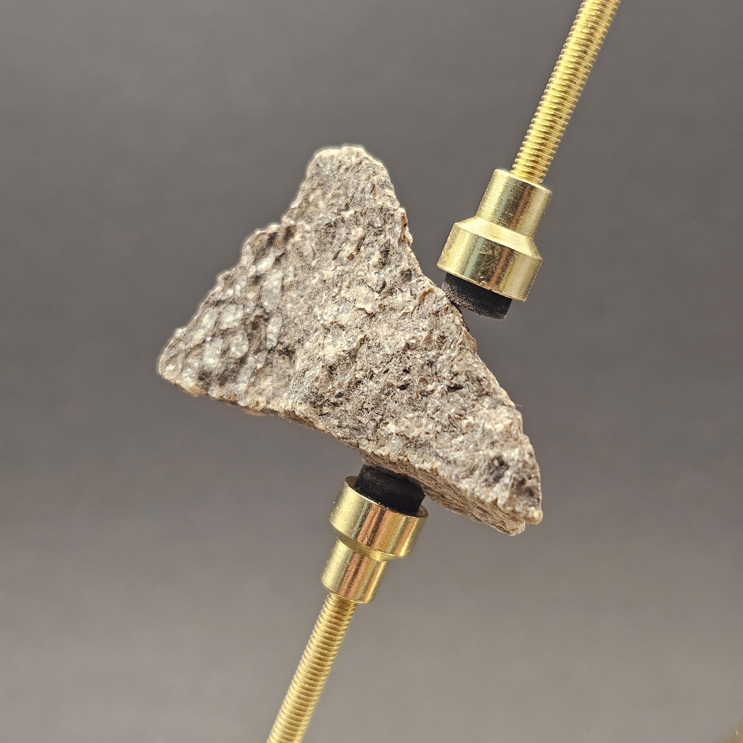 Sauropod Bone Fragment — view 6