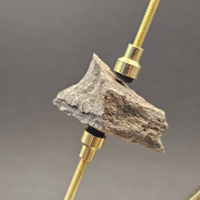 Sauropod Bone Fragment — view 3