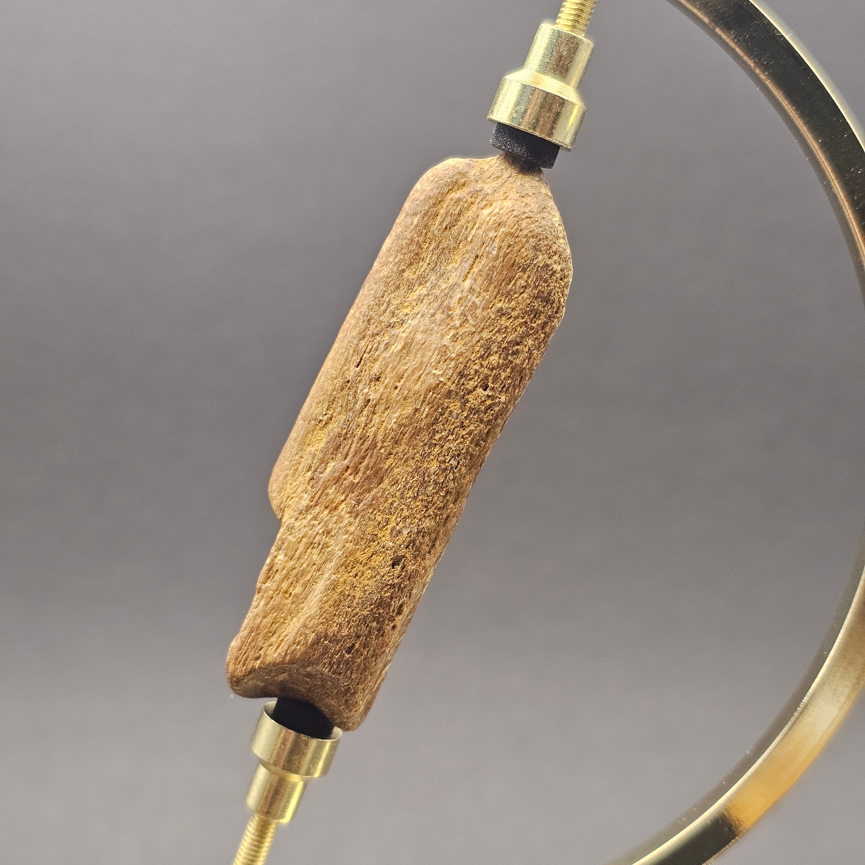 Plesiosaur Bone Fragment — view 3