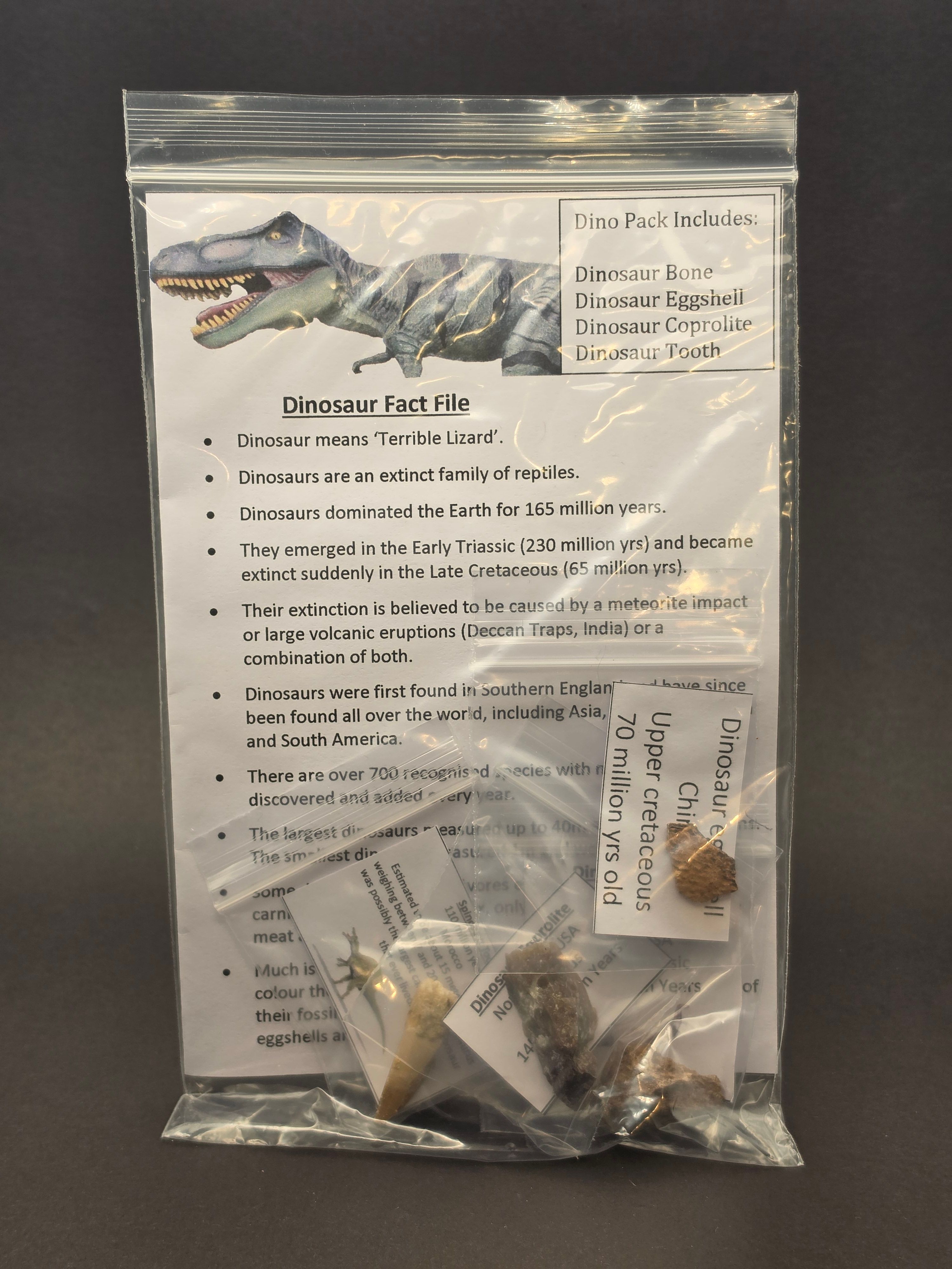'Dino Pack' Fossil Bundle – 4 Genuine Dinosaur Fossils