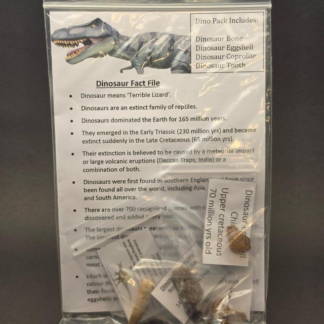 'Dino Pack' Fossil Bundle – 4 Genuine Dinosaur Fossils — view 1