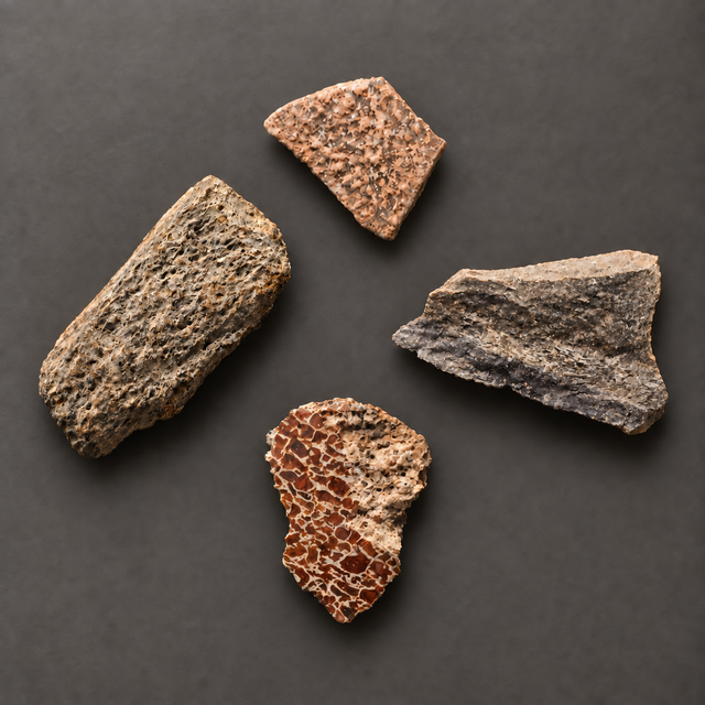 Dinosaur Fossil Starter Pack — view 1