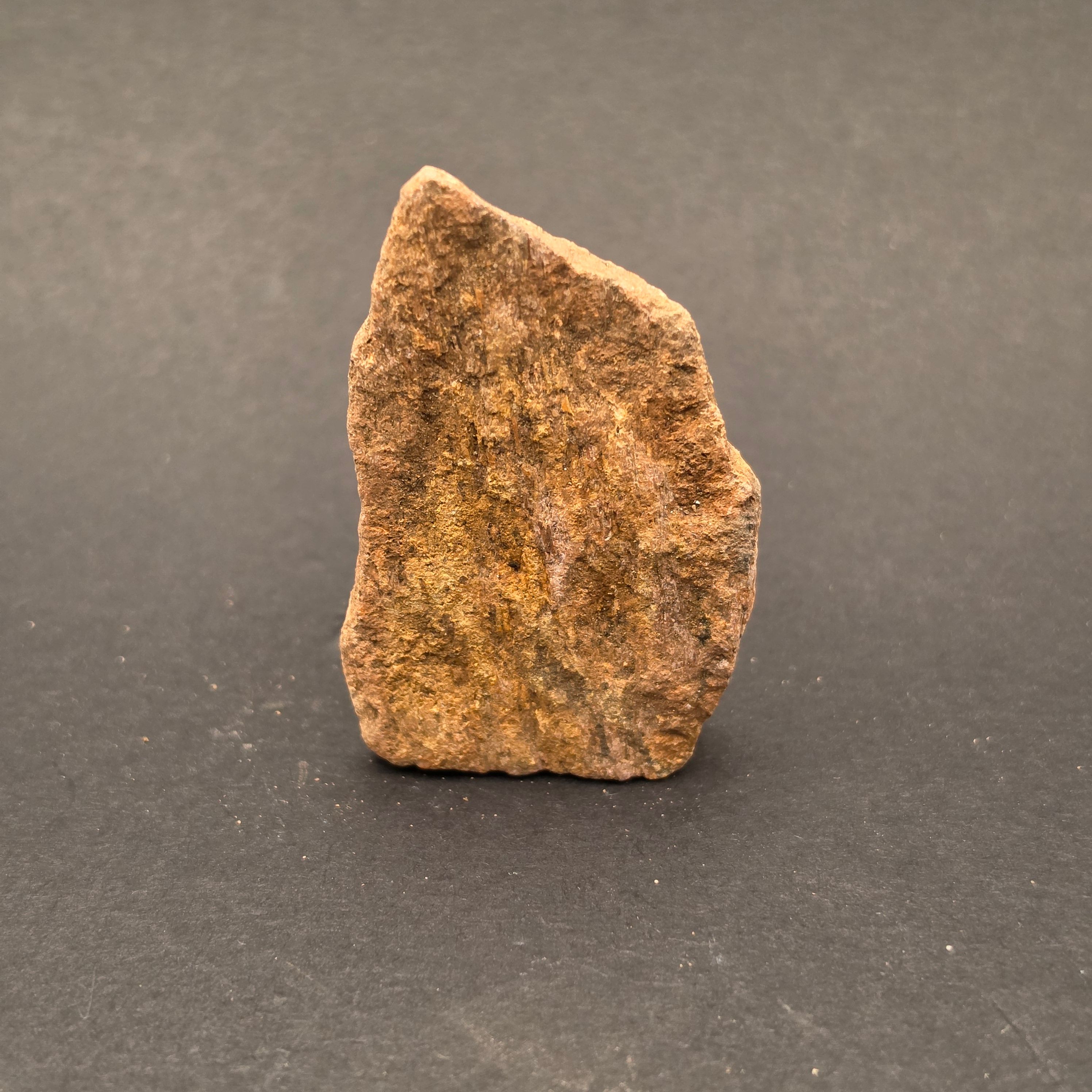 Morrison Formation Dinosaur Bone Fragment — view 3