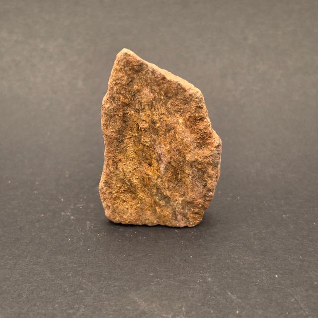 Morrison Formation Dinosaur Bone Fragment — view 3