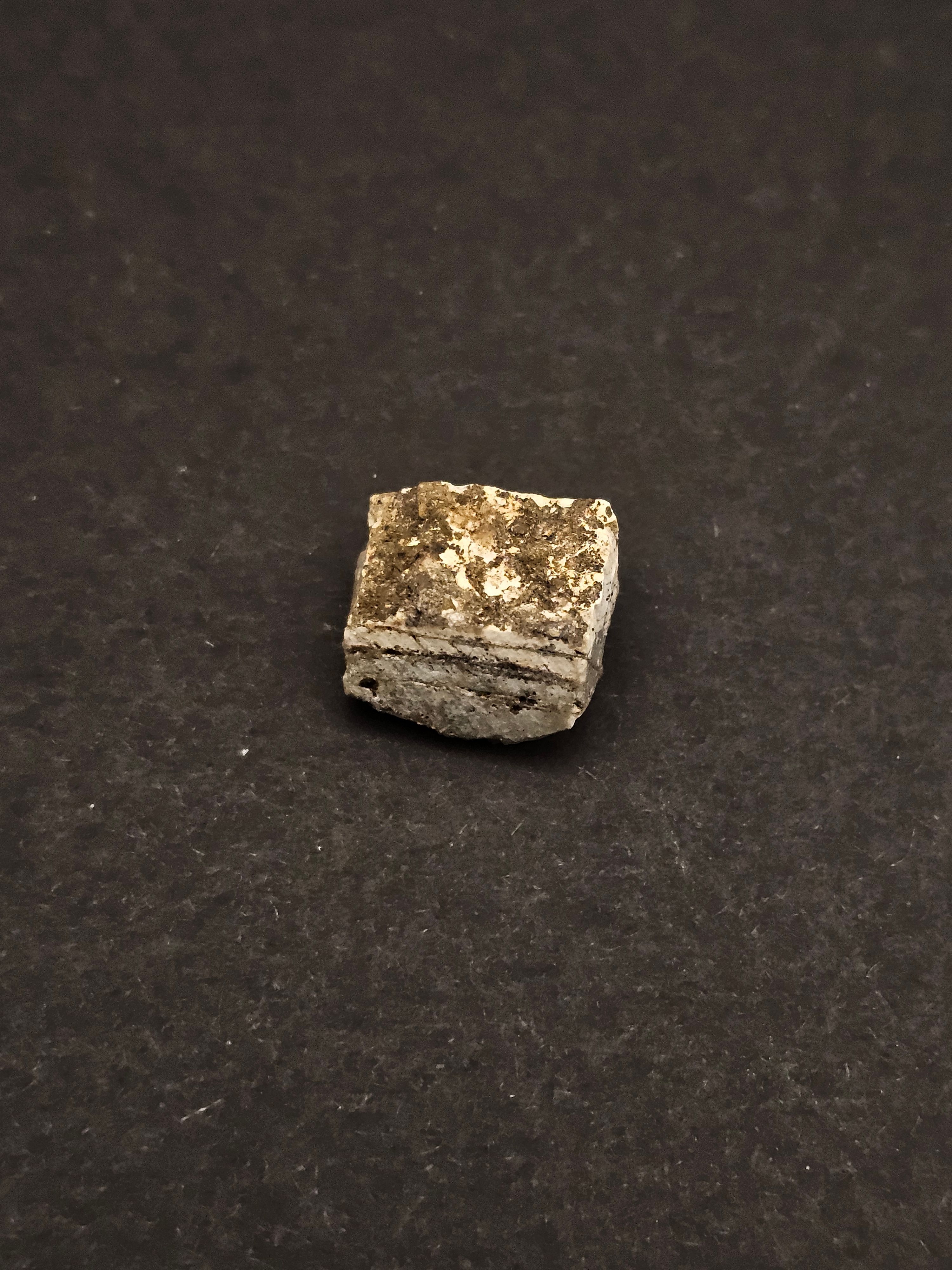 Dresser Formation Stromatolite Fragment — view 5