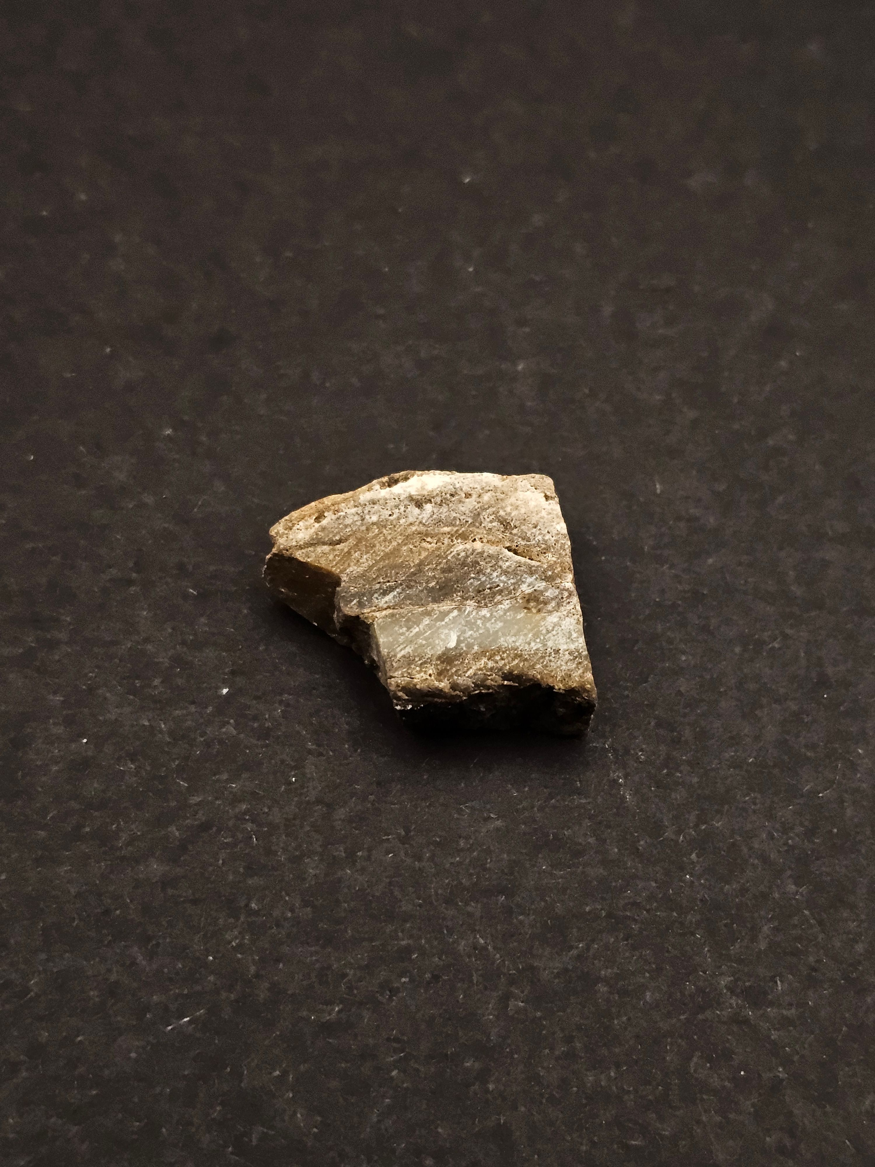Dresser Formation Stromatolite Fragment — view 6
