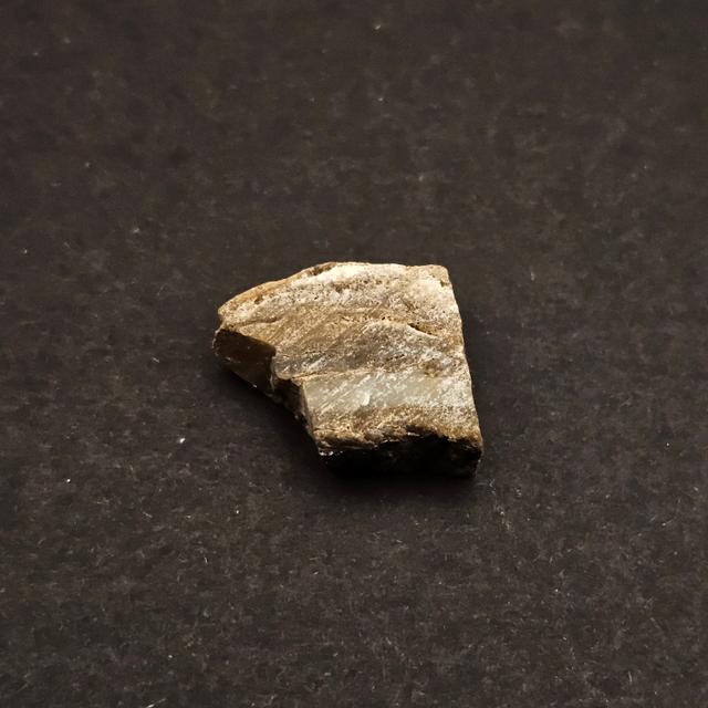 Dresser Formation Stromatolite Fragment — view 6