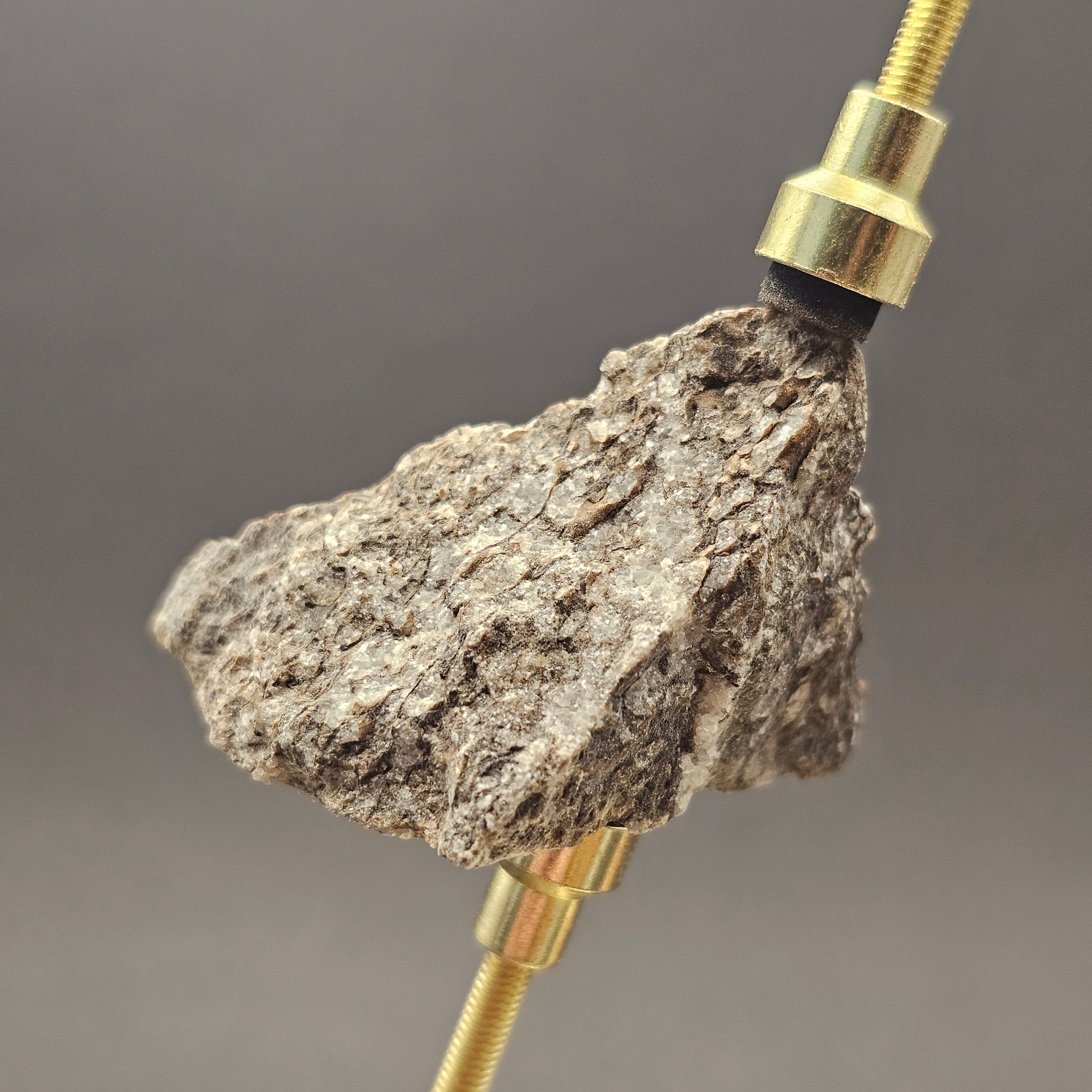 Sauropod Bone Fragment — view 7