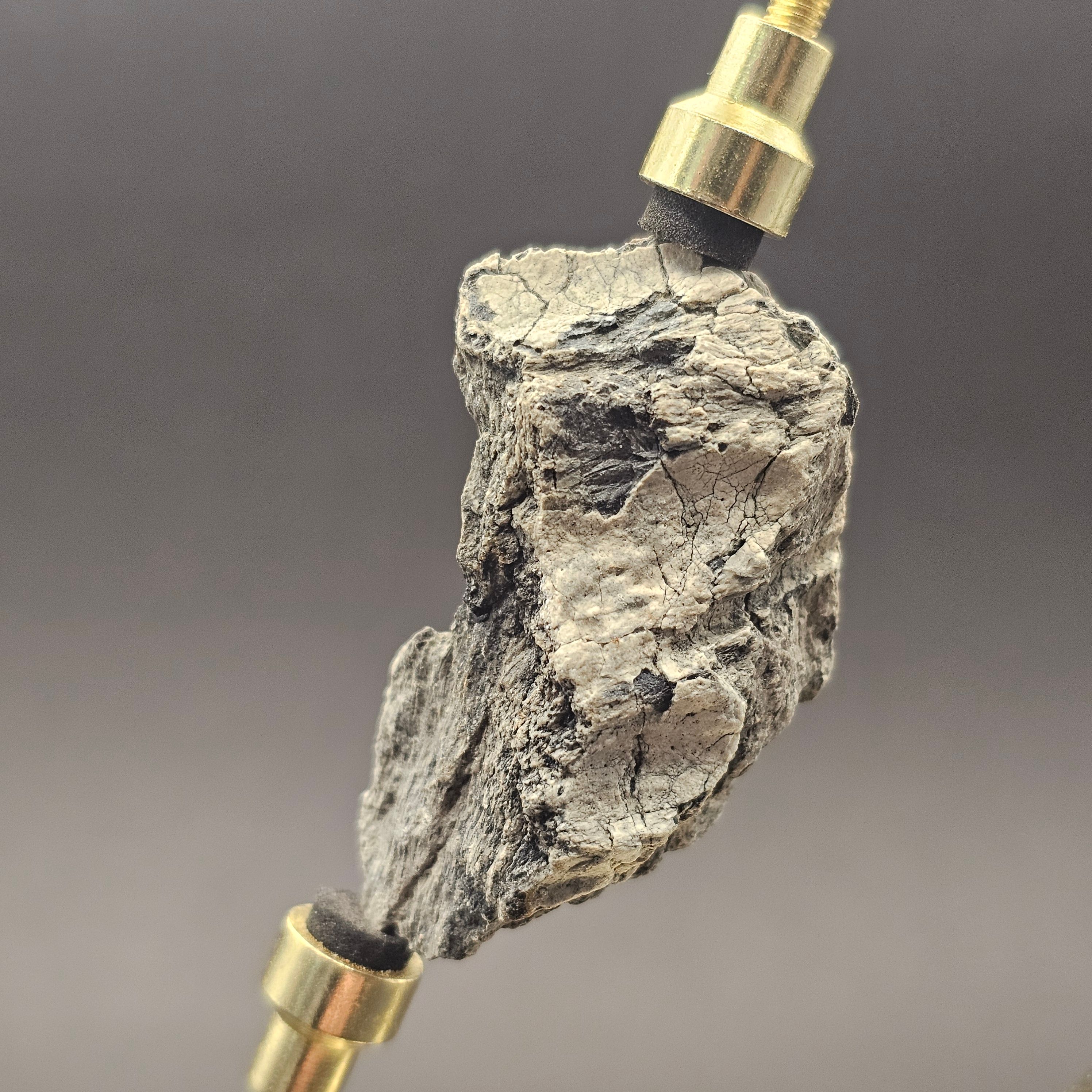 Dinosaur Bone Fragment — view 6