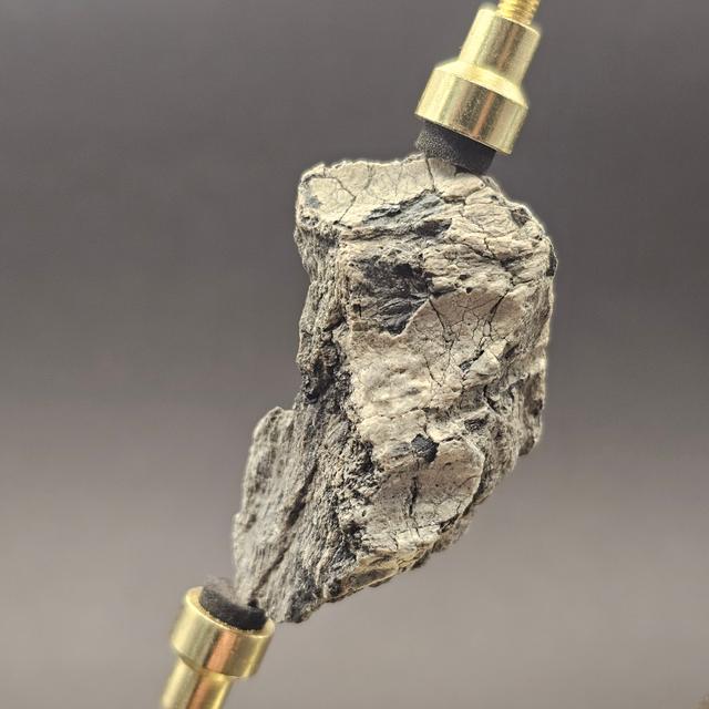 Dinosaur Bone Fragment — view 6