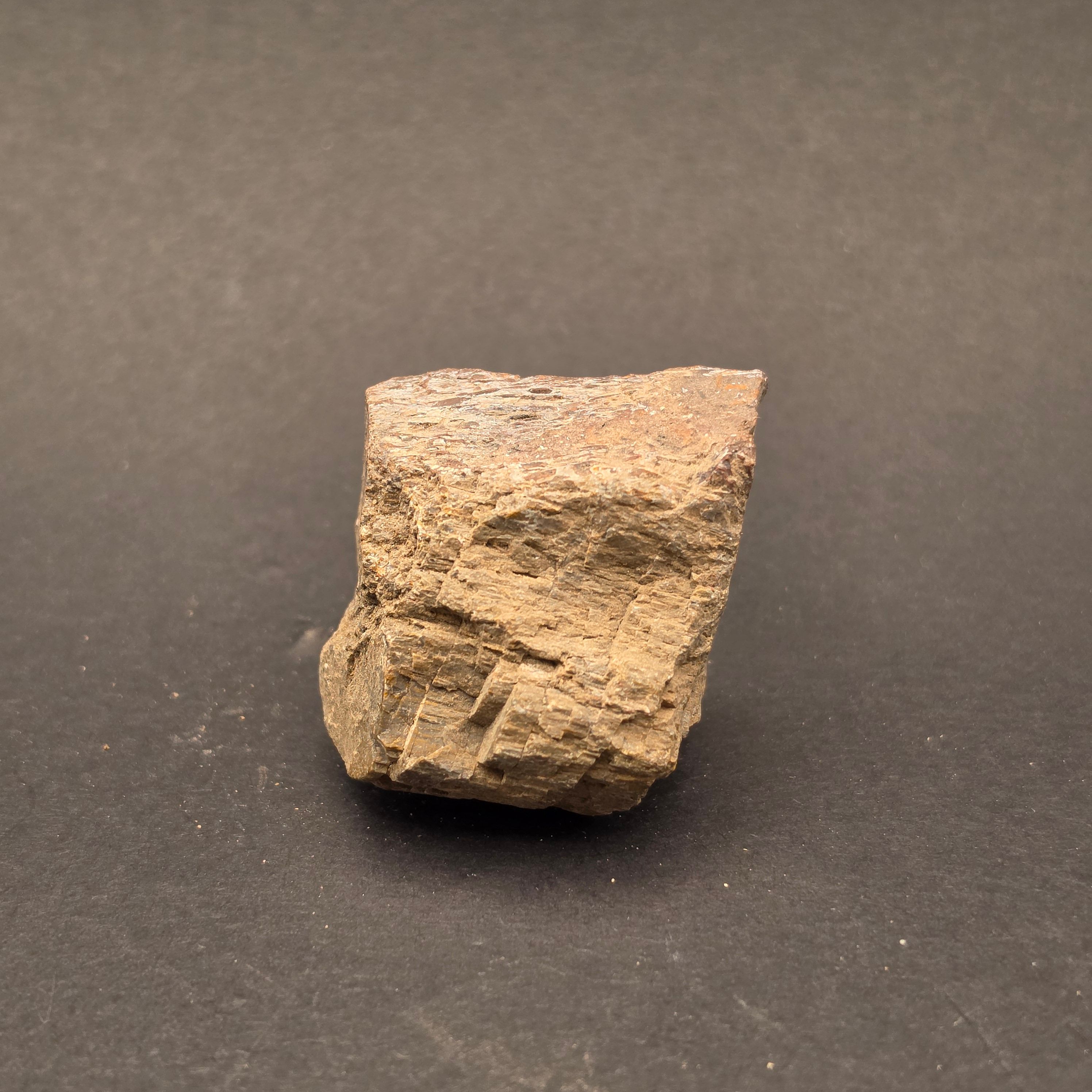 Morrison Formation Dinosaur Bone Fragment — view 4