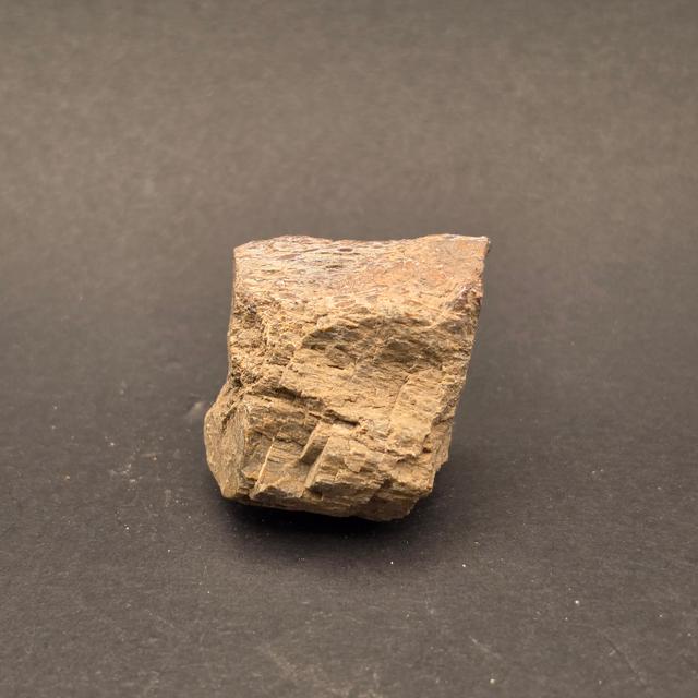 Morrison Formation Dinosaur Bone Fragment — view 4