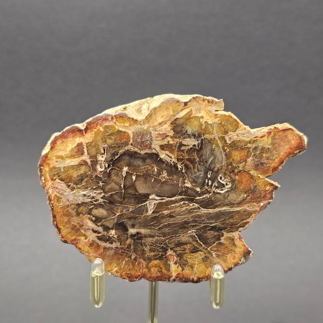 Earth & Space Collection — view 2