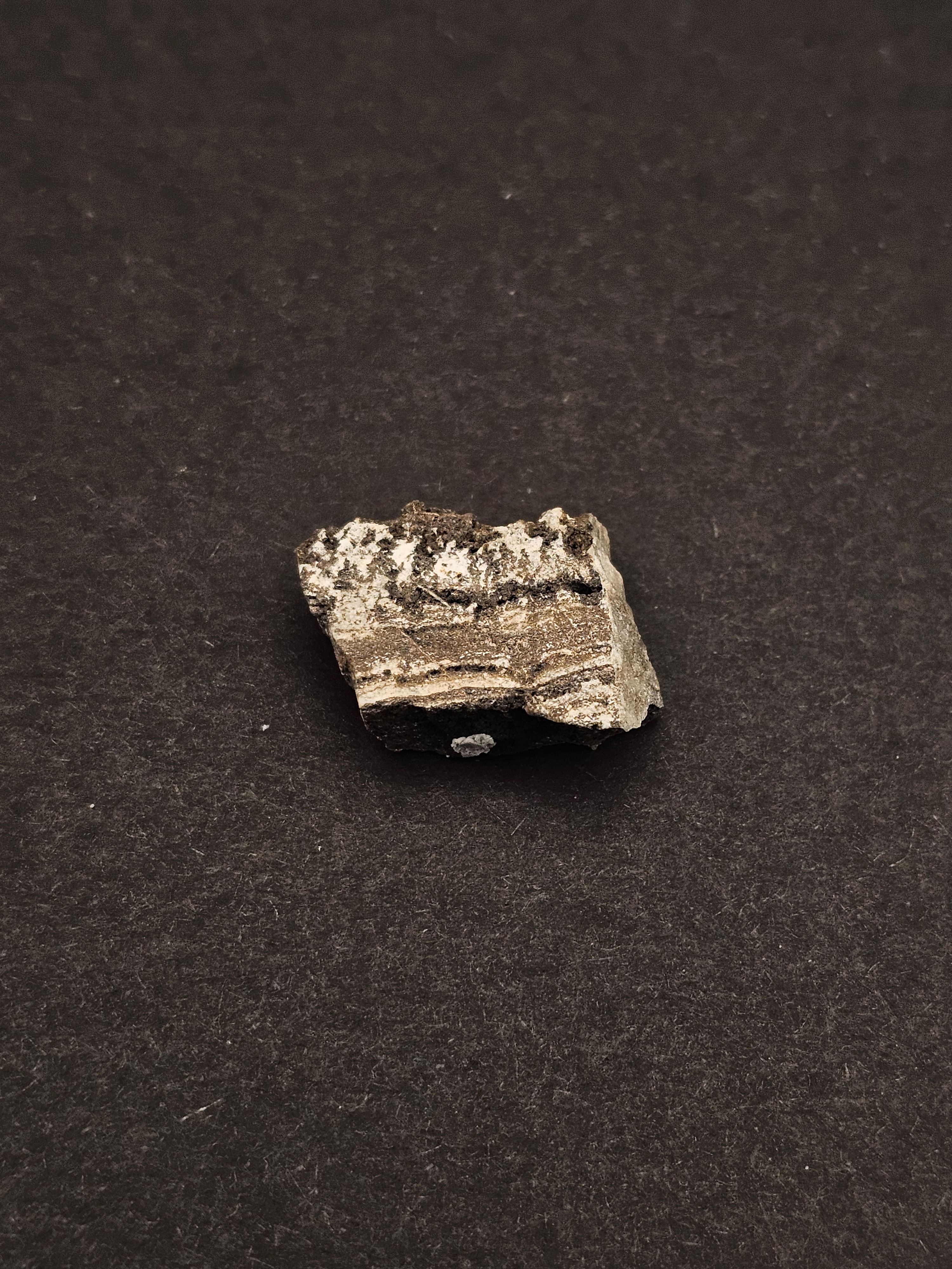 Dresser Formation Stromatolite Fragment — view 3