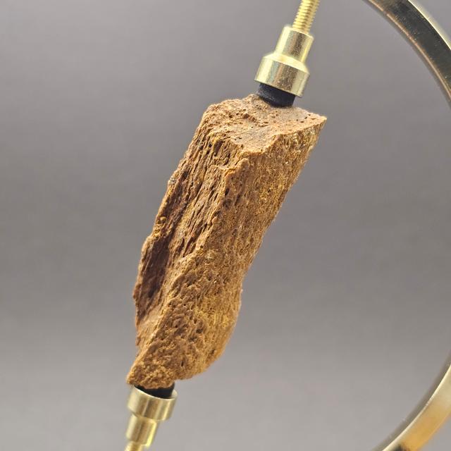 Plesiosaur Bone Fragment — view 4