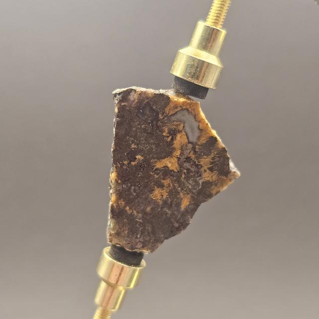 Atlasaurus Bone Slice — view 7