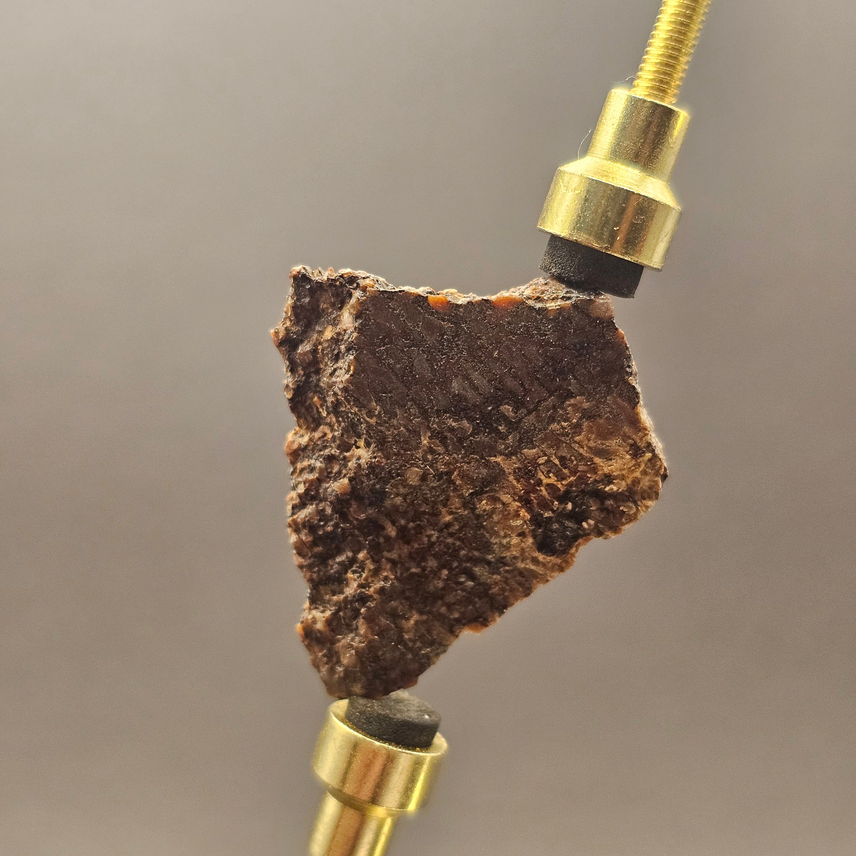 Atlasaurus Bone Slice — view 6