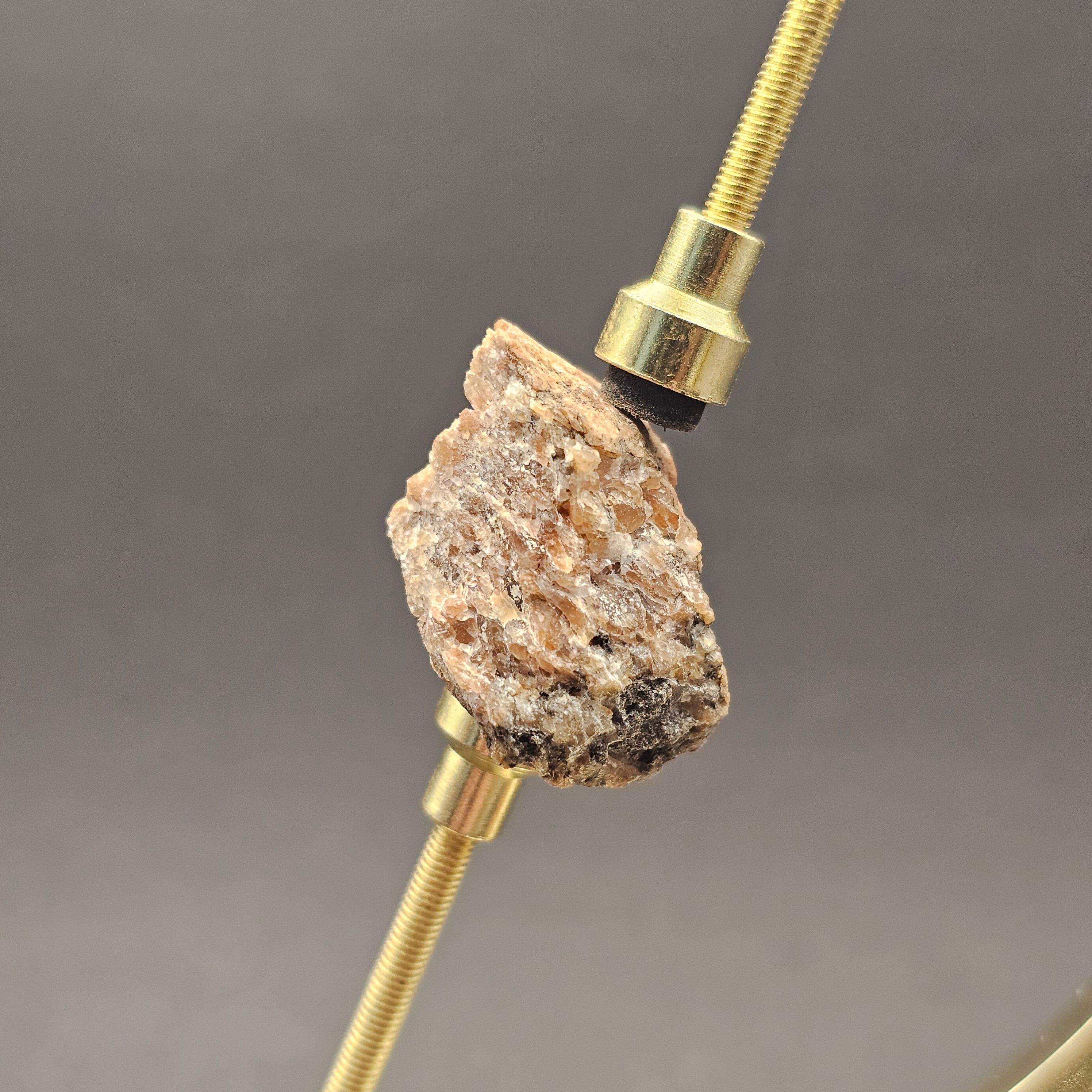 Sauropod Bone Fragment — view 4