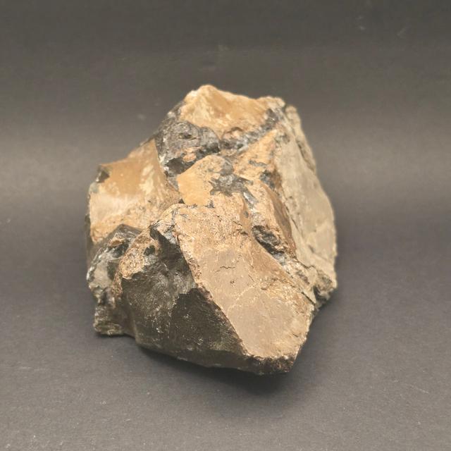 Whitby Jurassic Ichthyosaur Bone Block — view 6
