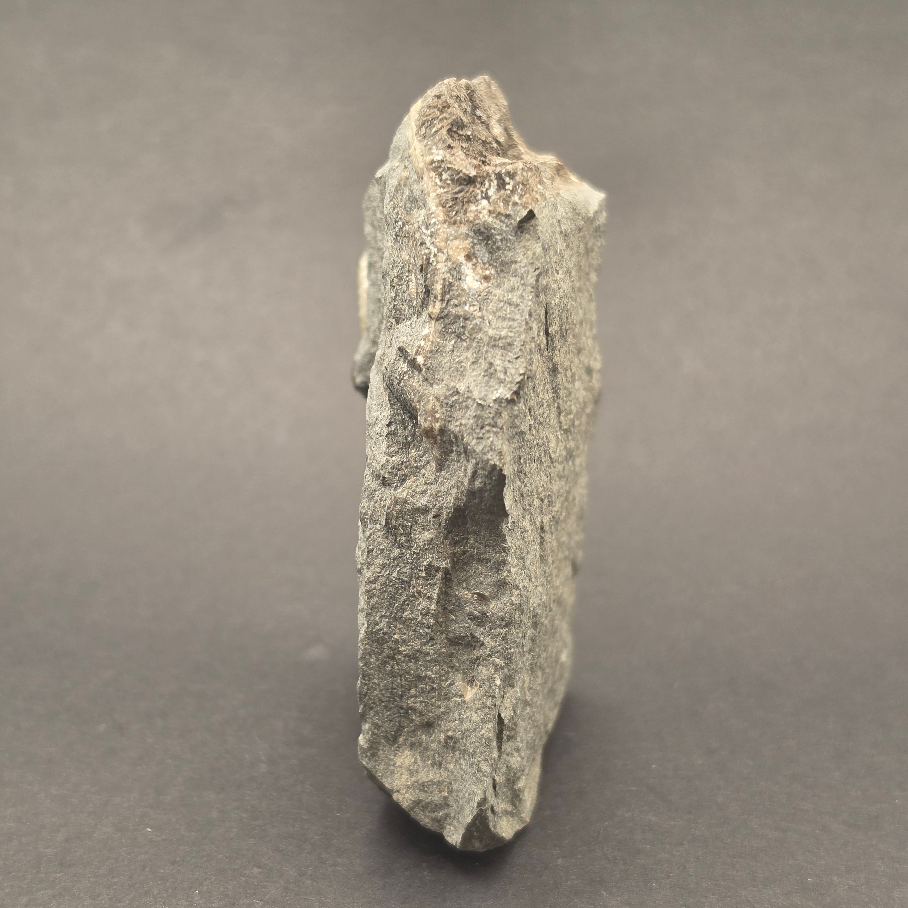 Promicroceras Calcite Ammonite on Matrix — view 5