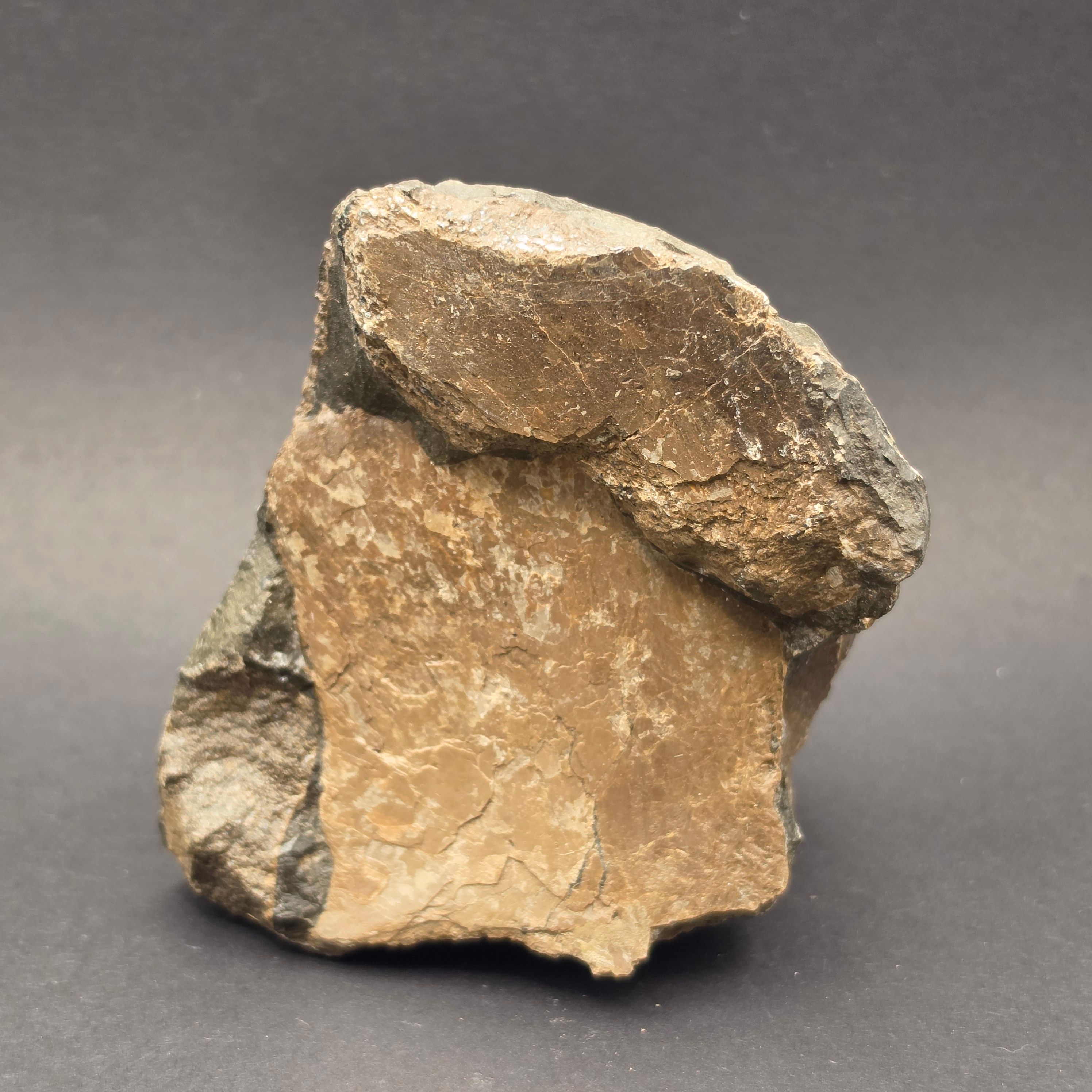 ICH04
