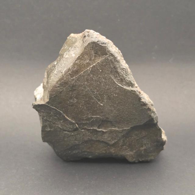 Whitby Jurassic Ichthyosaur Bone Block — view 4