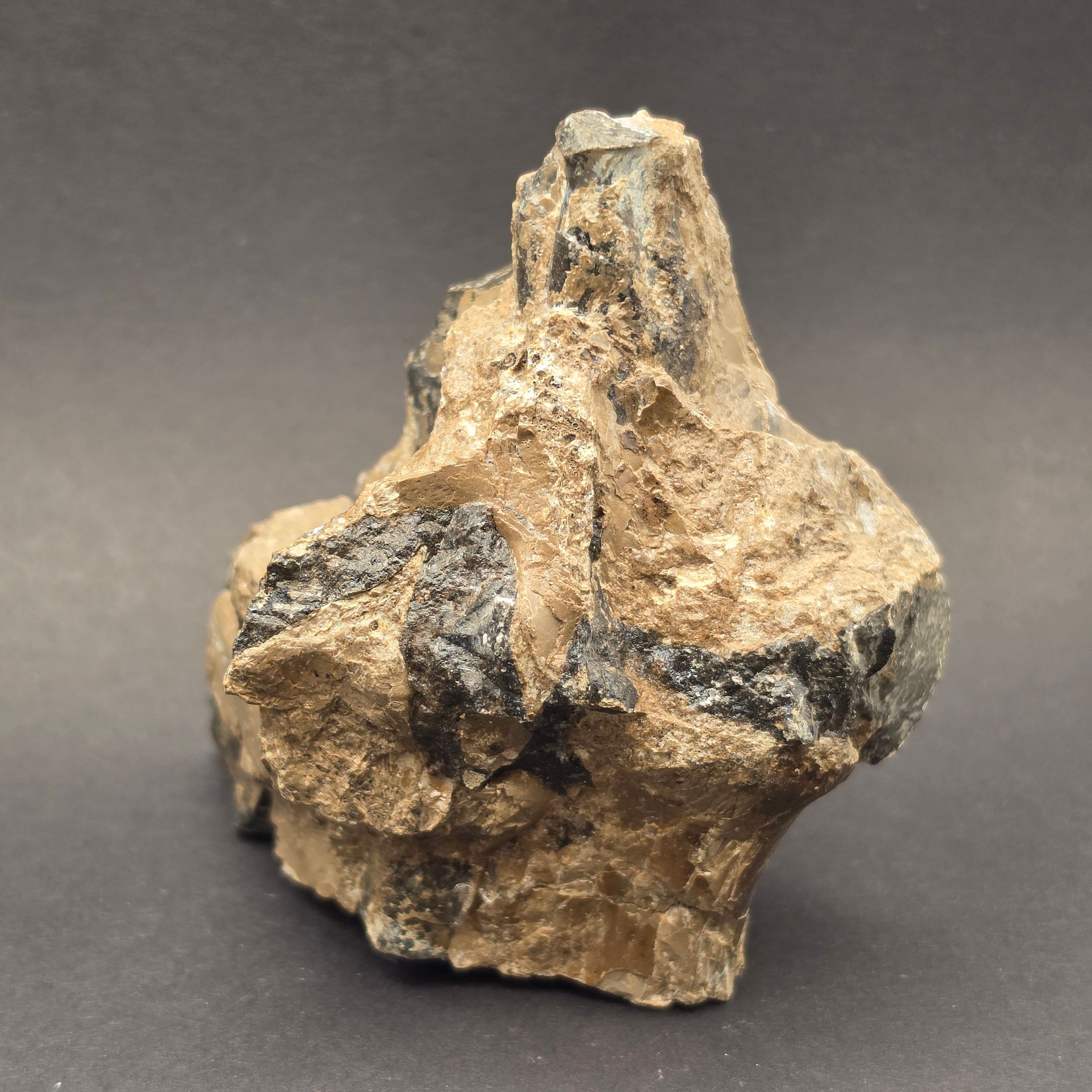 Whitby Jurassic Ichthyosaur Bone Block — view 3