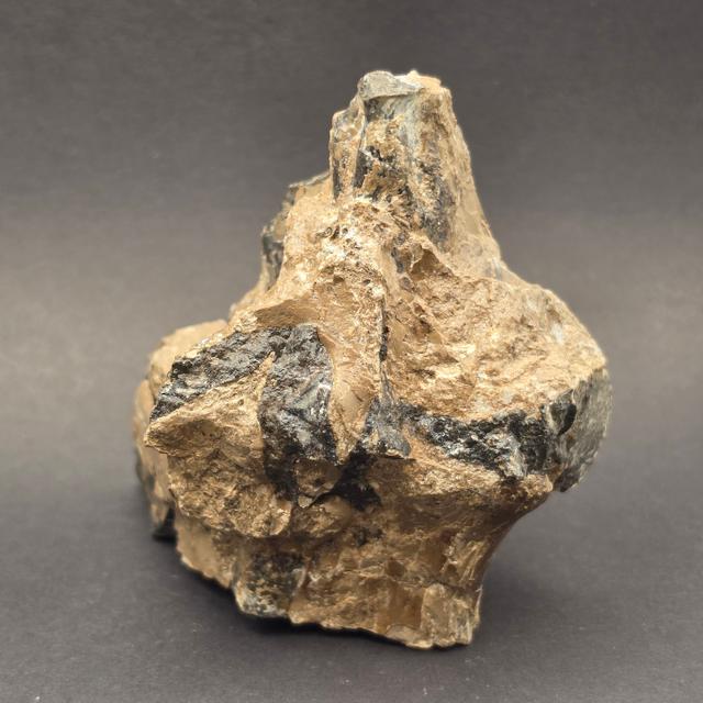 Whitby Jurassic Ichthyosaur Bone Block — view 3