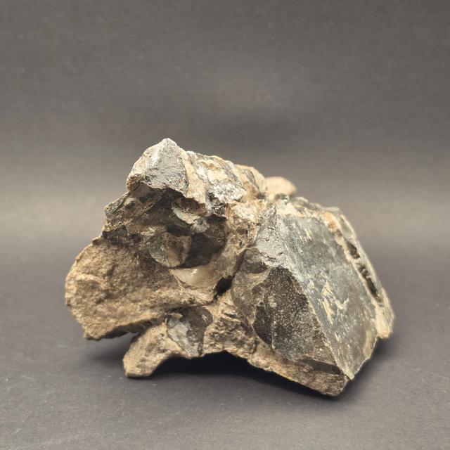 Whitby Jurassic Ichthyosaur Bone Block — view 5