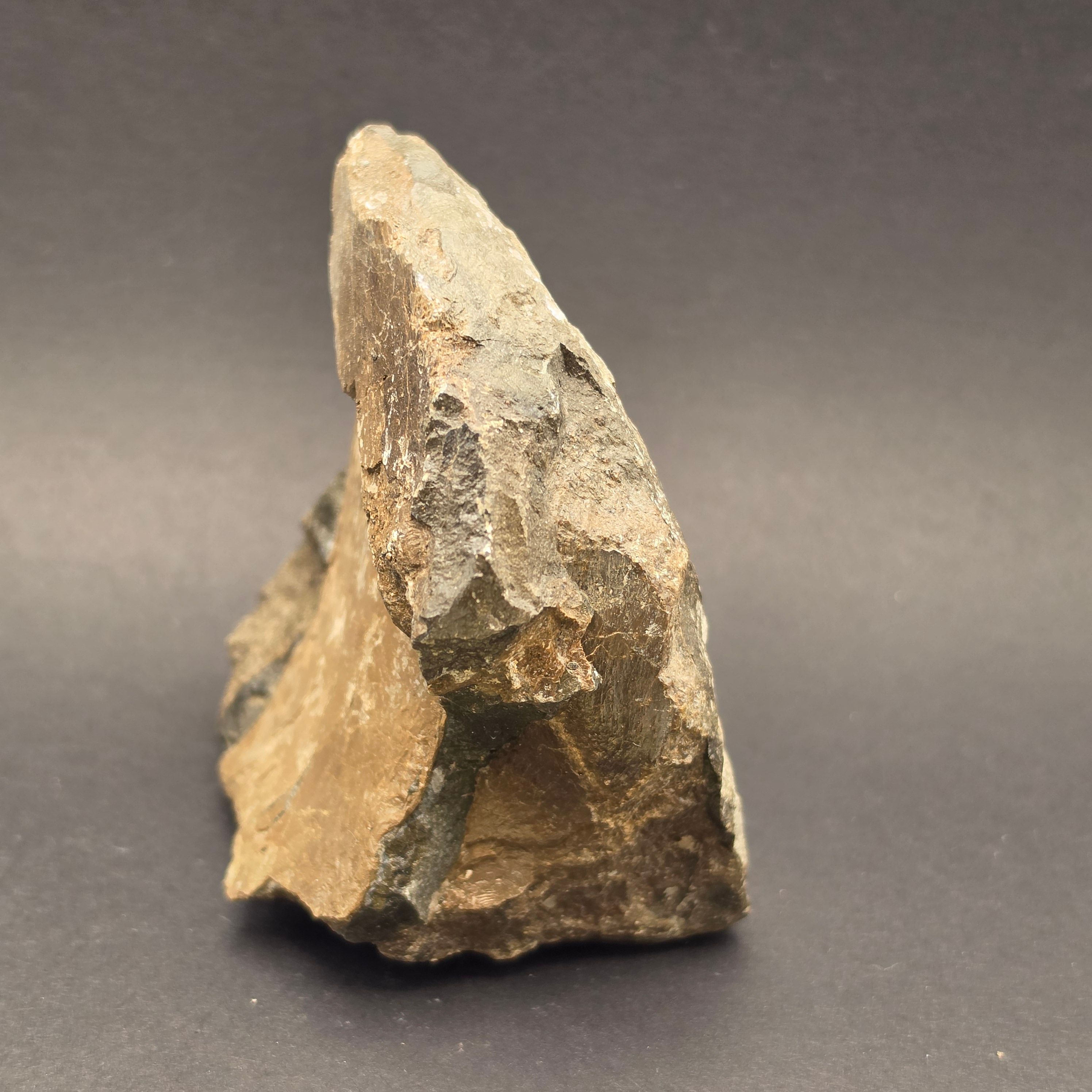 Whitby Jurassic Ichthyosaur Bone Block — view 4