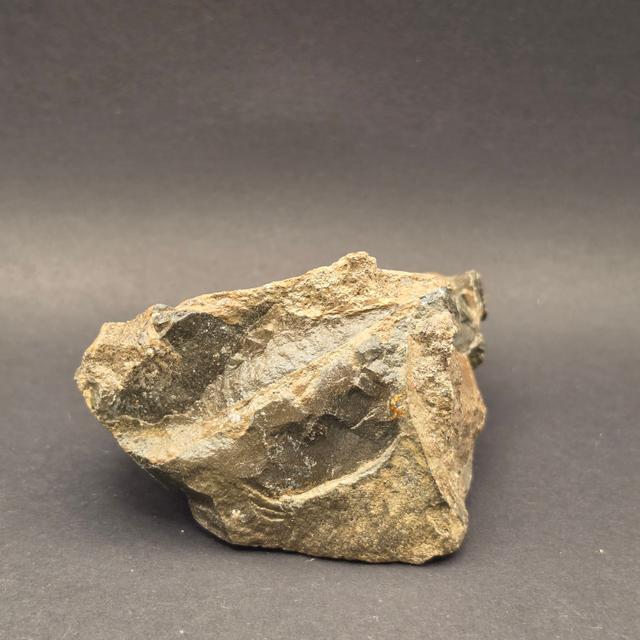 Whitby Jurassic Ichthyosaur Bone Block — view 5