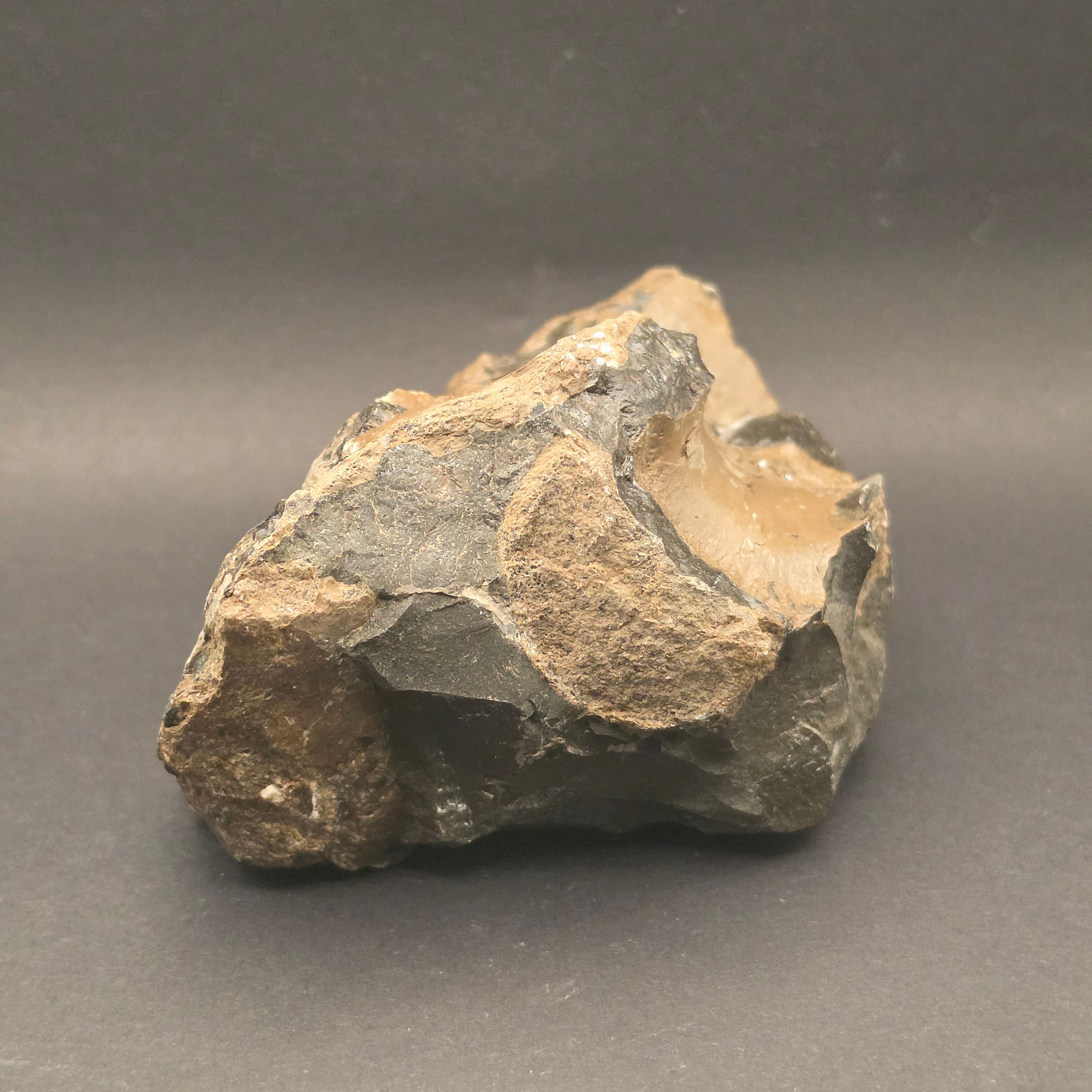 Whitby Jurassic Ichthyosaur Bone Block — view 5
