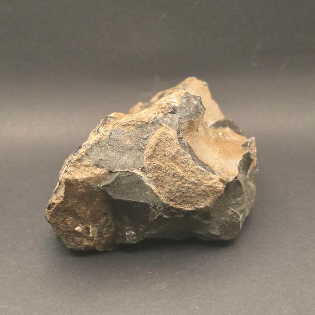 Whitby Jurassic Ichthyosaur Bone Block — view 5