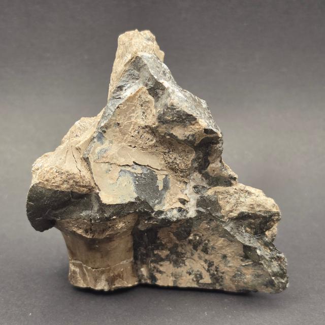 Whitby Jurassic Ichthyosaur Bone Block — view 1