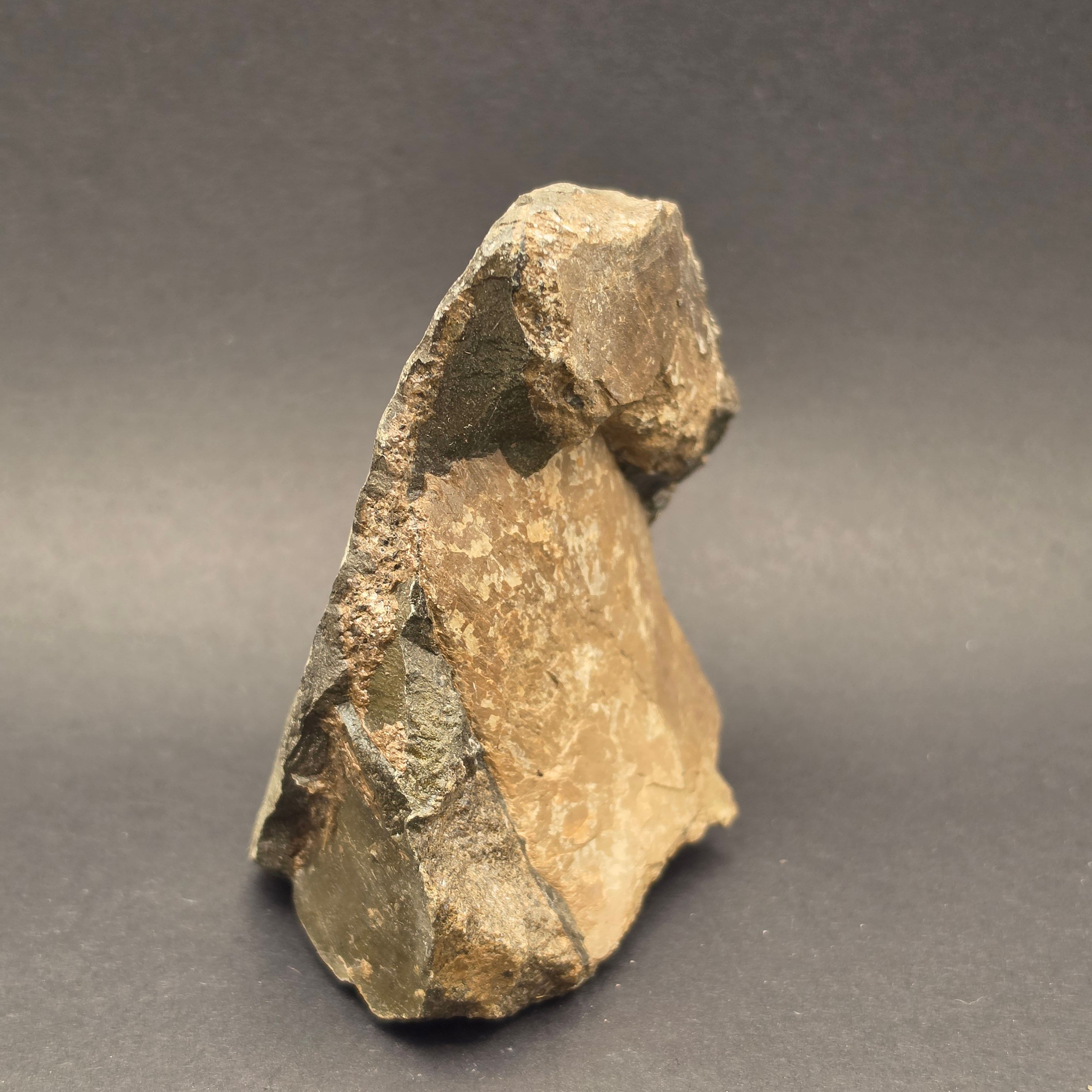 Whitby Jurassic Ichthyosaur Bone Block — view 2