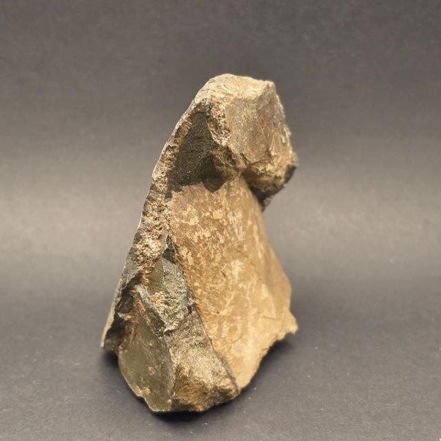 Whitby Jurassic Ichthyosaur Bone Block — view 2