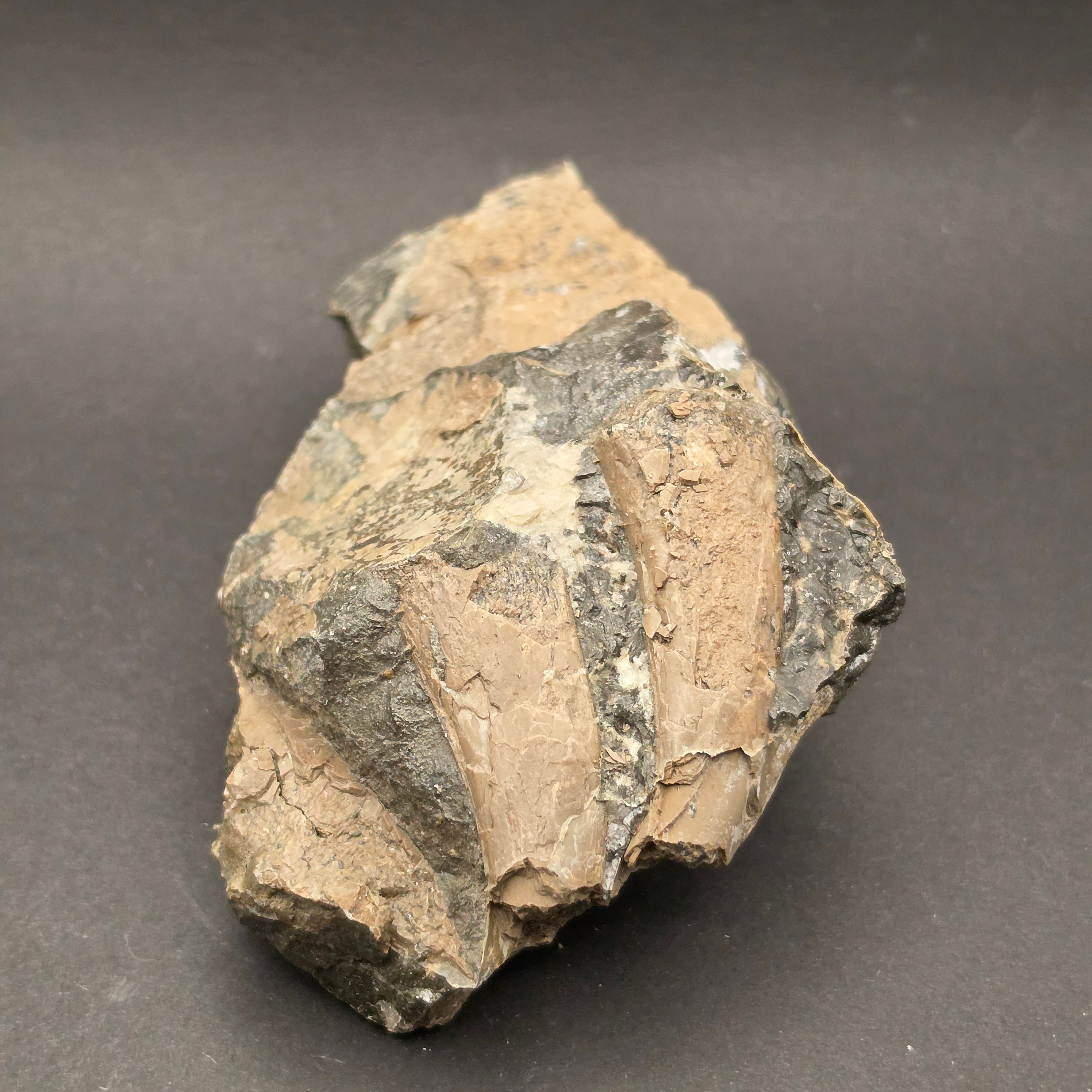 ICH06