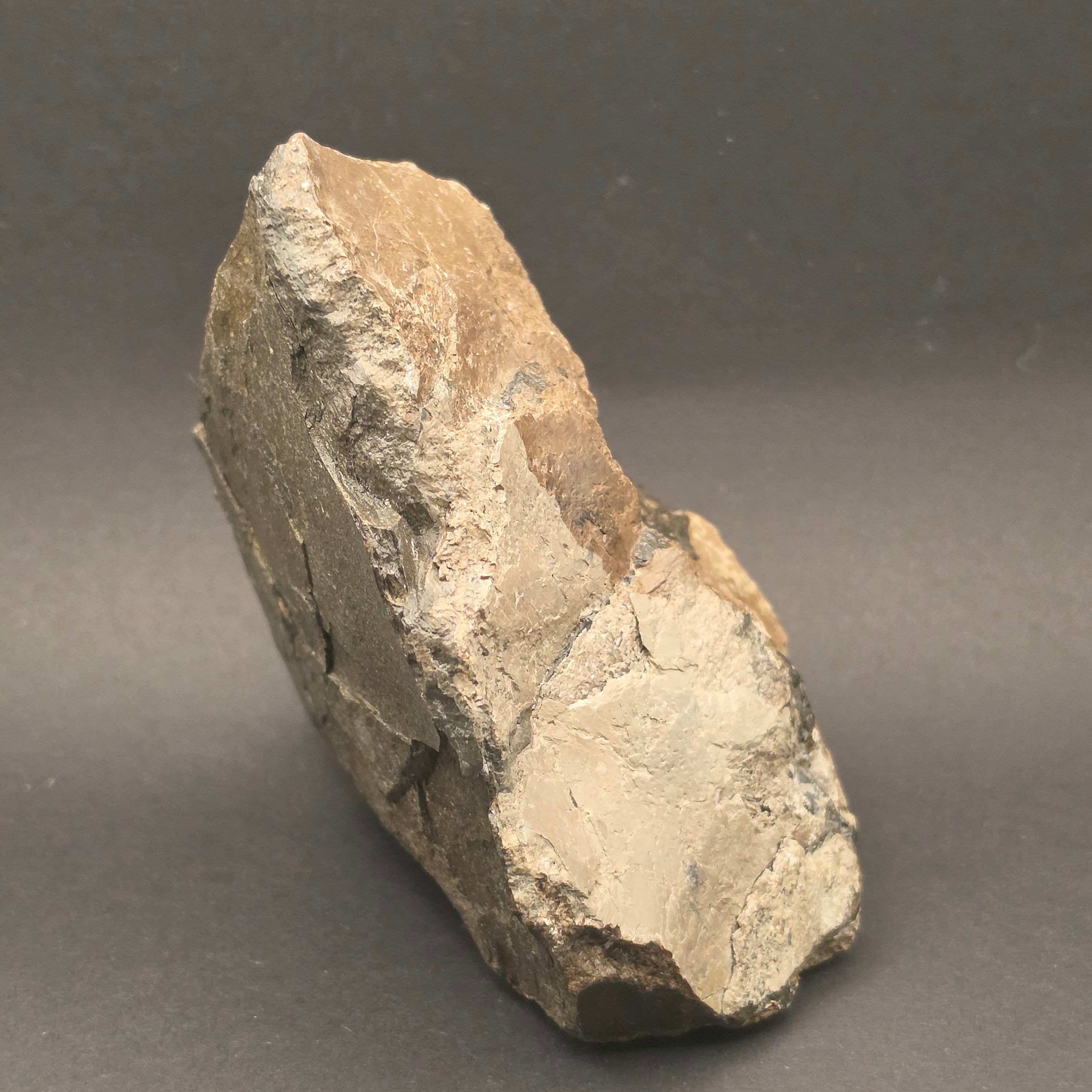 Whitby Jurassic Ichthyosaur Bone Block — view 3