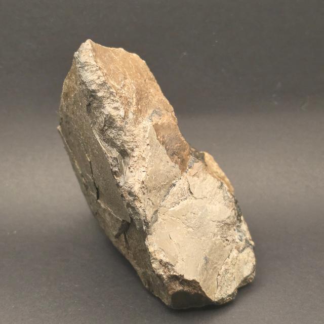 Whitby Jurassic Ichthyosaur Bone Block — view 3