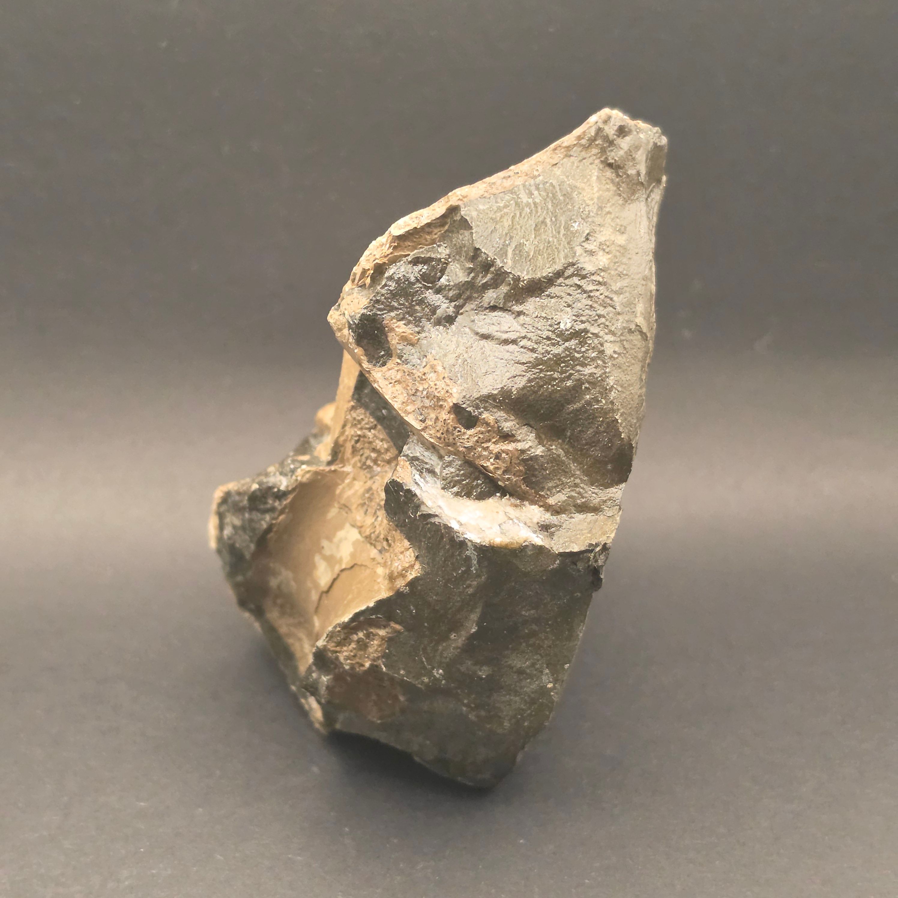 Whitby Jurassic Ichthyosaur Bone Block — view 2