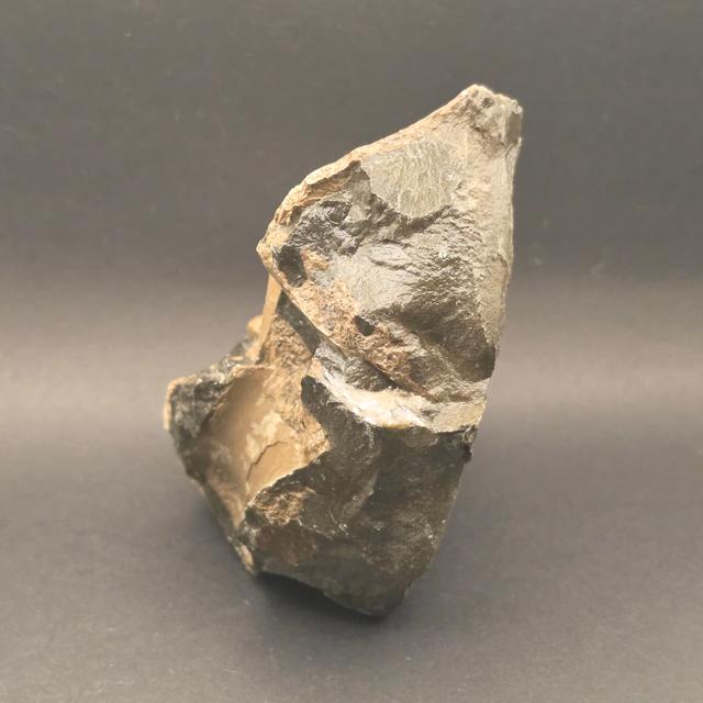 Whitby Jurassic Ichthyosaur Bone Block — view 2