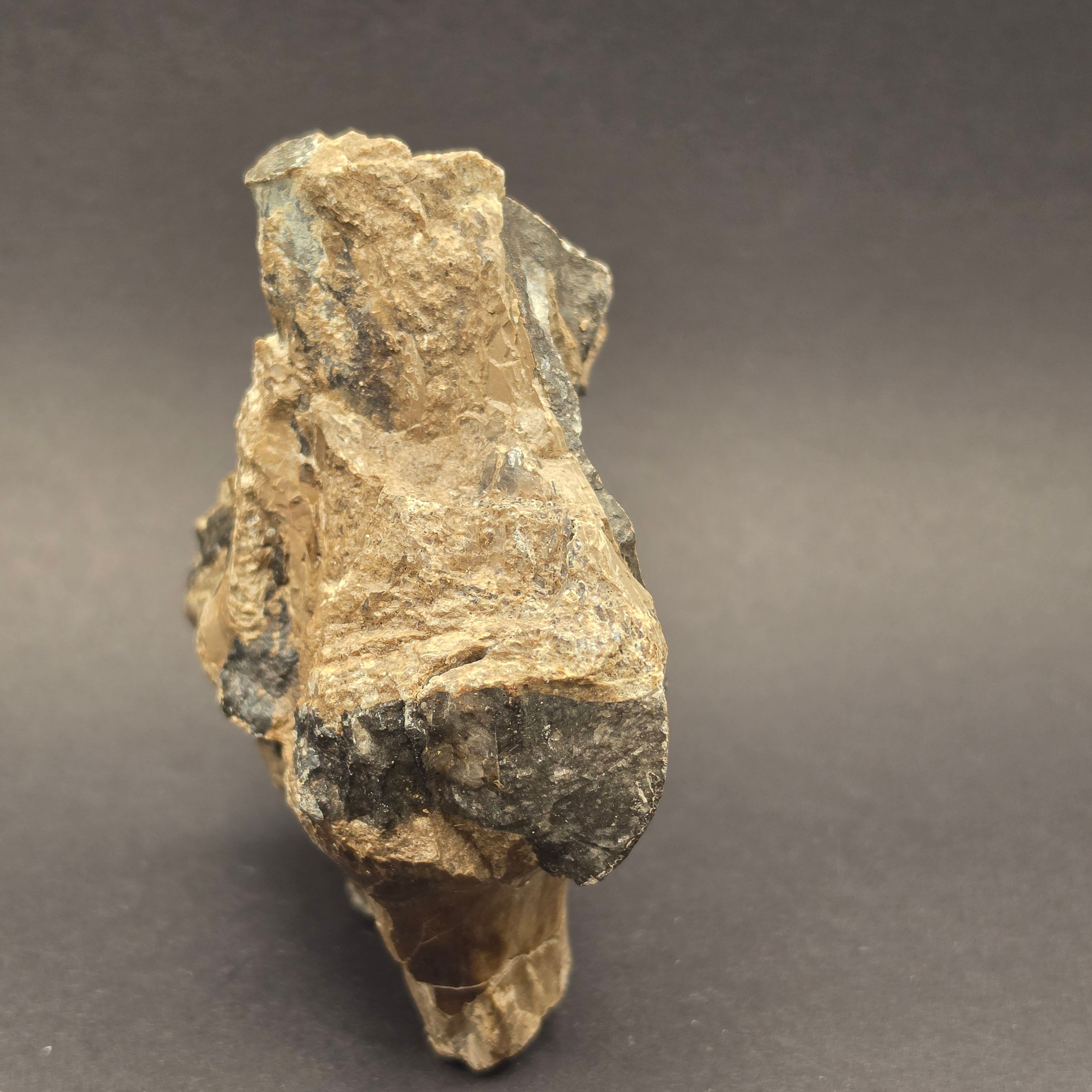 Whitby Jurassic Ichthyosaur Bone Block — view 4