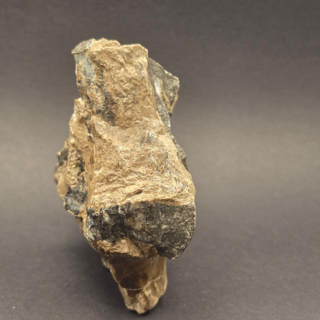 Whitby Jurassic Ichthyosaur Bone Block — view 4