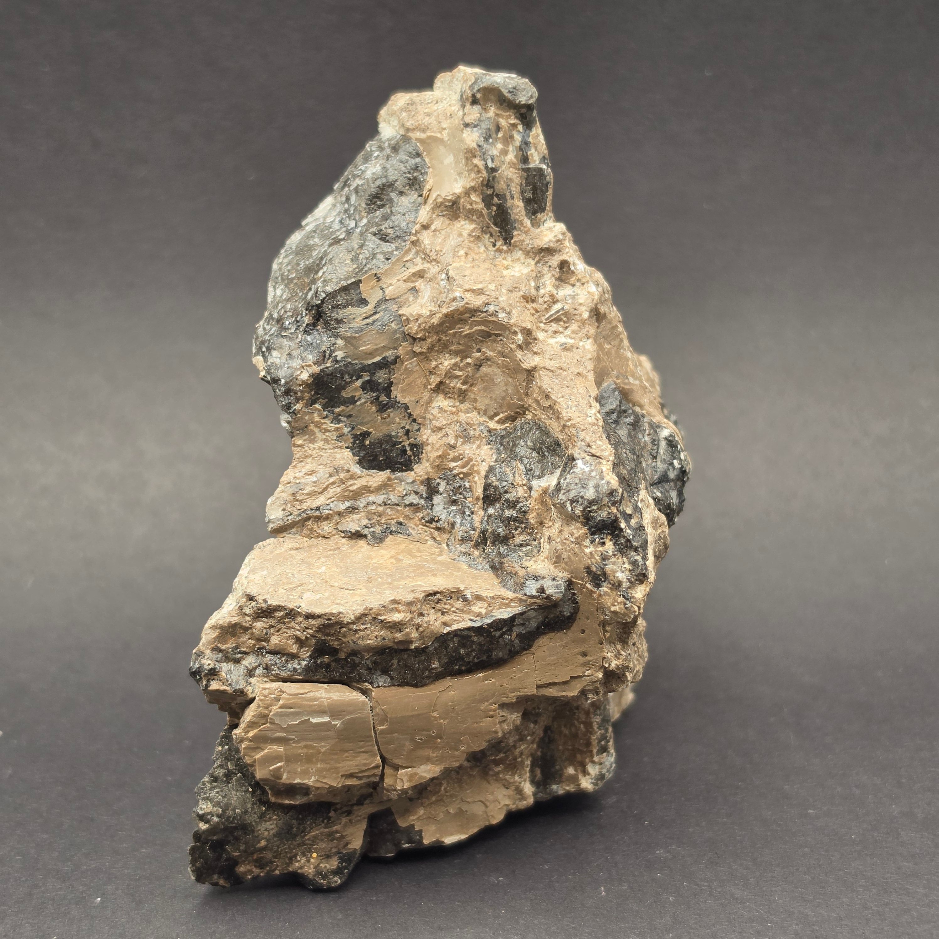 Whitby Jurassic Ichthyosaur Bone Block — view 2