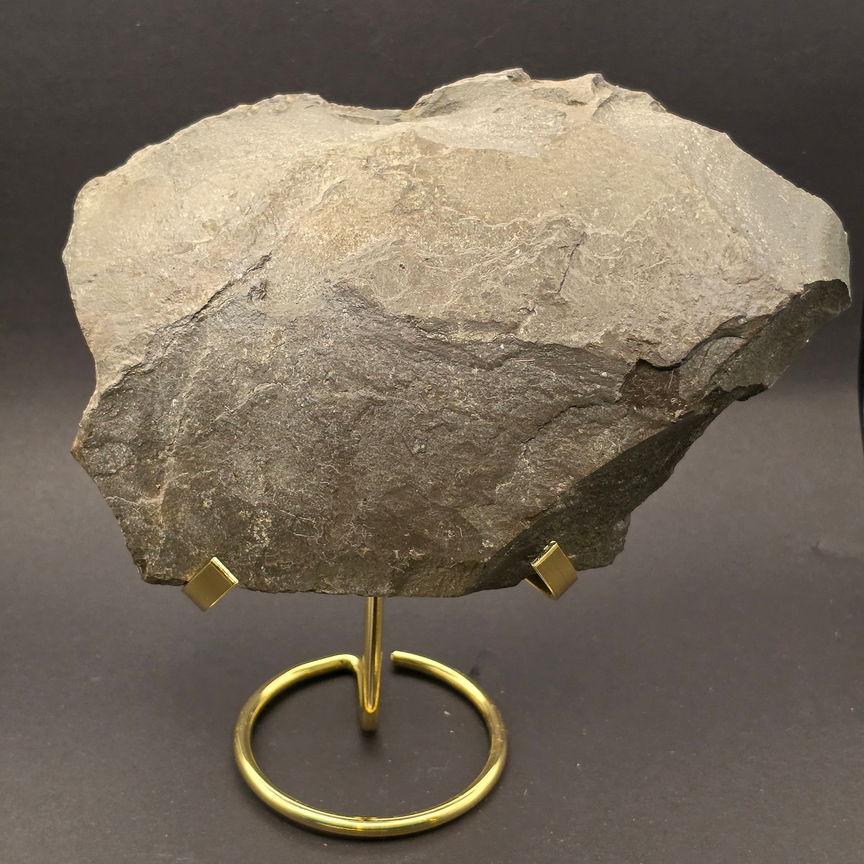 Whitby Jurassic Ichthyosaur Bone Block — view 2