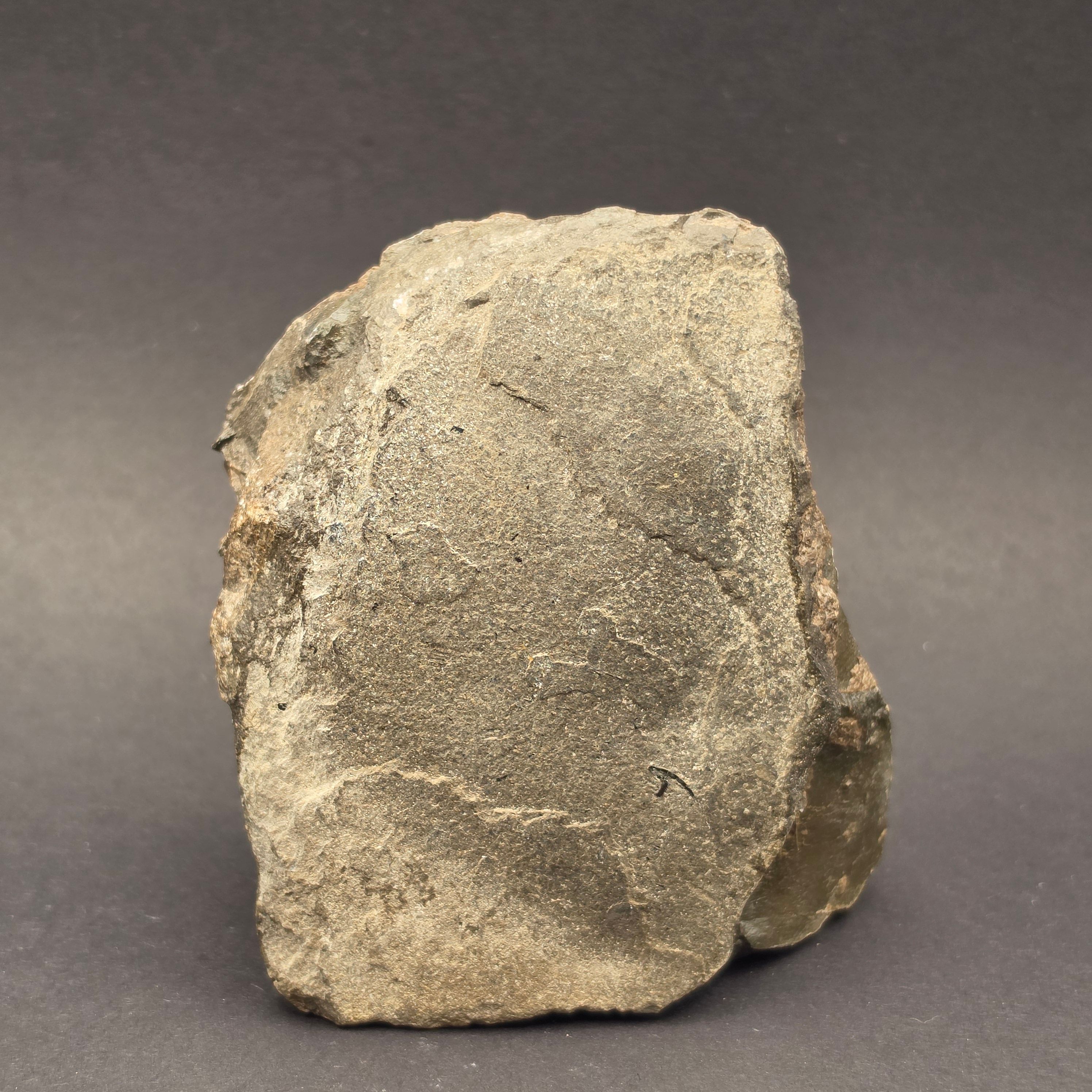 Whitby Jurassic Ichthyosaur Bone Block — view 3