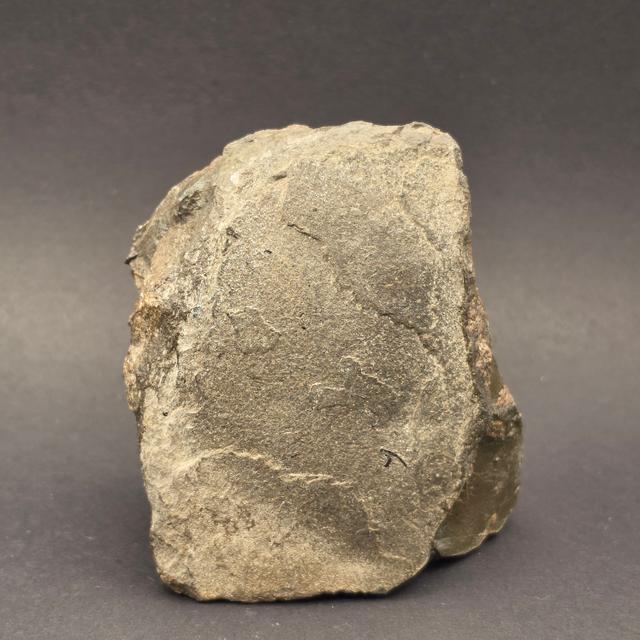 Whitby Jurassic Ichthyosaur Bone Block — view 3